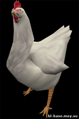 курица re-skin